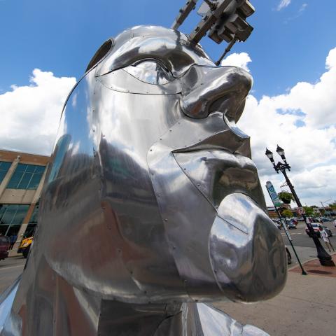 Portrait of a Dreamer